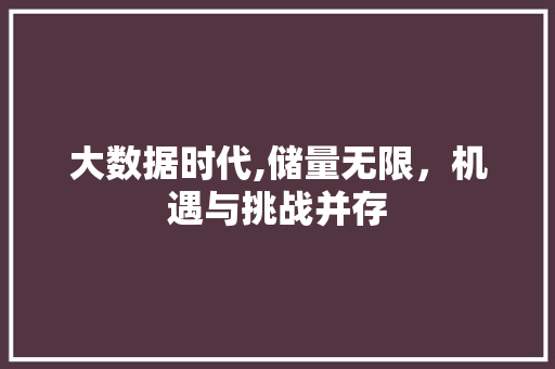 大数据时代,储量无限，机遇与挑战并存