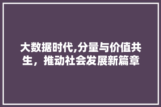 大数据时代,分量与价值共生，推动社会发展新篇章