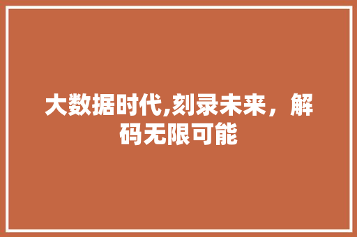 大数据时代,刻录未来，解码无限可能