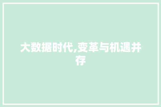 大数据时代,变革与机遇并存