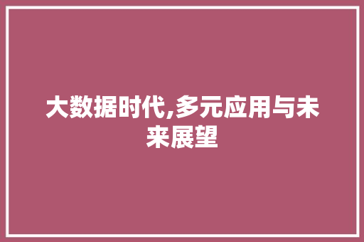 大数据时代,多元应用与未来展望