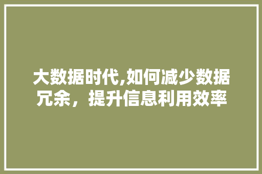 大数据时代,如何减少数据冗余，提升信息利用效率 GoogleSEO