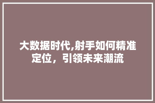 大数据时代,射手如何精准定位，引领未来潮流 GoogleSEO