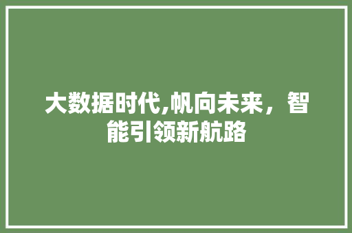 大数据时代,帆向未来，智能引领新航路