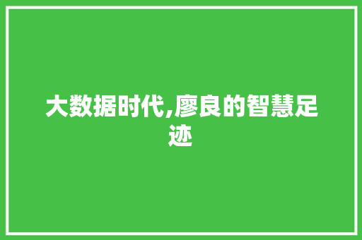 大数据时代,廖良的智慧足迹