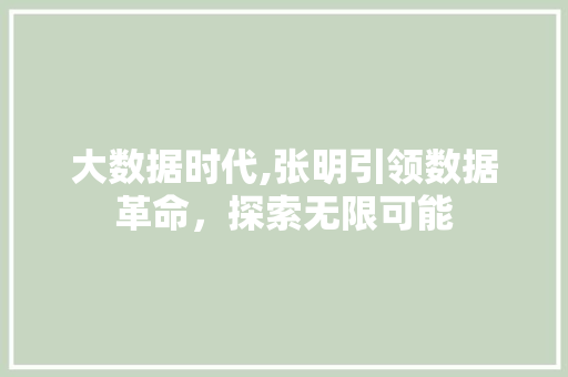 大数据时代,张明引领数据革命，探索无限可能