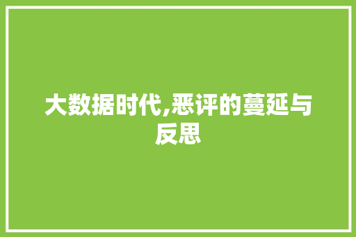 大数据时代,恶评的蔓延与反思