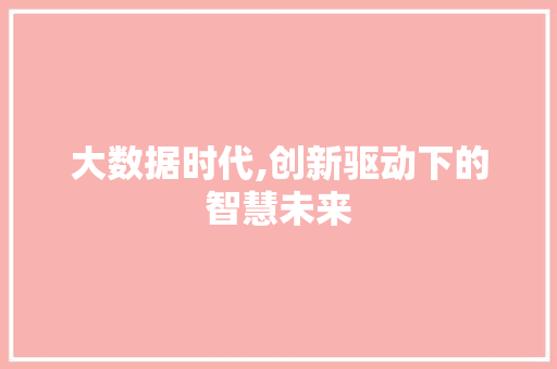 大数据时代,创新驱动下的智慧未来 百度SEO
