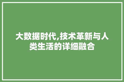 大数据时代,技术革新与人类生活的详细融合
