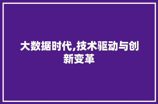 大数据时代,技术驱动与创新变革