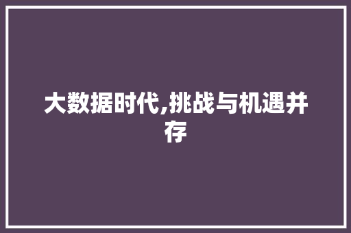 大数据时代,挑战与机遇并存