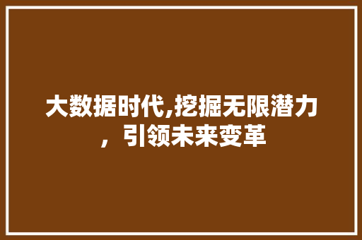 大数据时代,挖掘无限潜力，引领未来变革