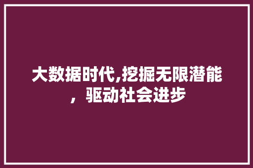 大数据时代,挖掘无限潜能，驱动社会进步
