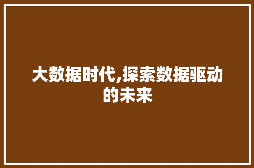 大数据时代,探索数据驱动的未来 神马SEO