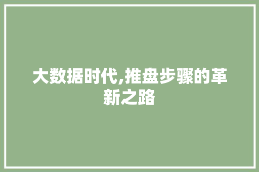 大数据时代,推盘步骤的革新之路 GoogleSEO