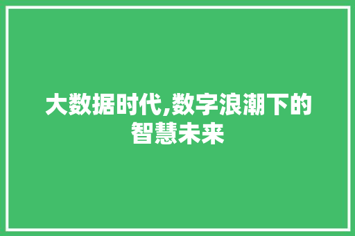 大数据时代,数字浪潮下的智慧未来 神马SEO
