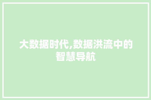 大数据时代,数据洪流中的智慧导航