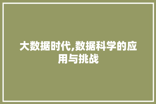 大数据时代,数据科学的应用与挑战 神马SEO