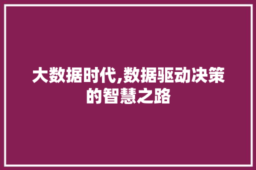 大数据时代,数据驱动决策的智慧之路