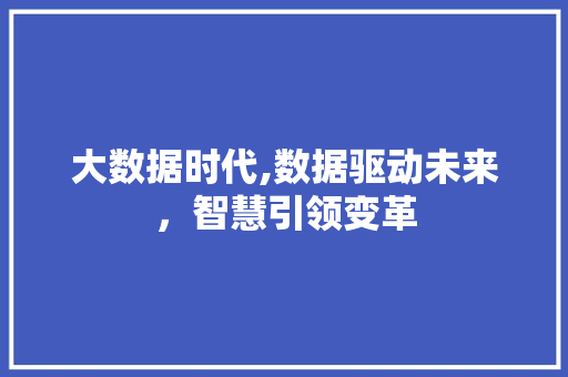 大数据时代,数据驱动未来，智慧引领变革