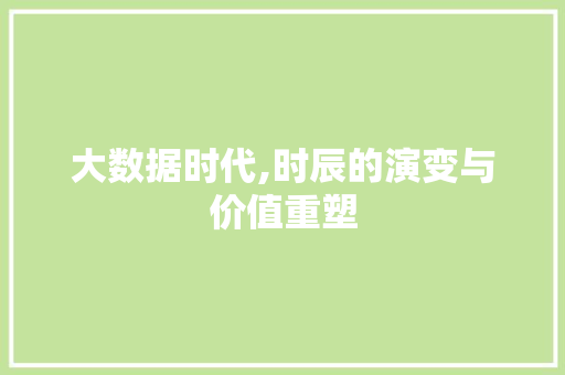 大数据时代,时辰的演变与价值重塑 GoogleSEO