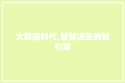 大数据时代,智慧决策的新引擎