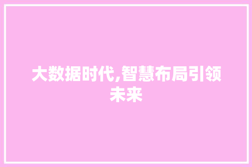 大数据时代,智慧布局引领未来