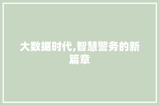 大数据时代,智慧警务的新篇章