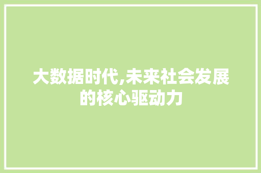 大数据时代,未来社会发展的核心驱动力