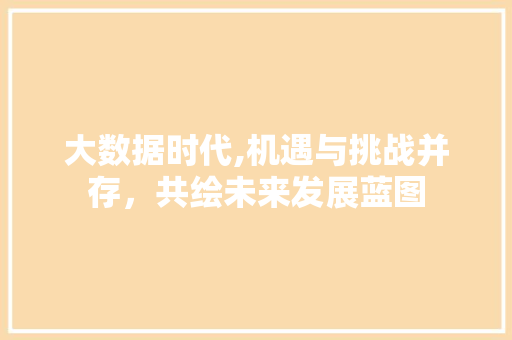大数据时代,机遇与挑战并存，共绘未来发展蓝图