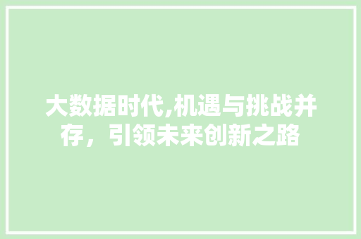 大数据时代,机遇与挑战并存，引领未来创新之路