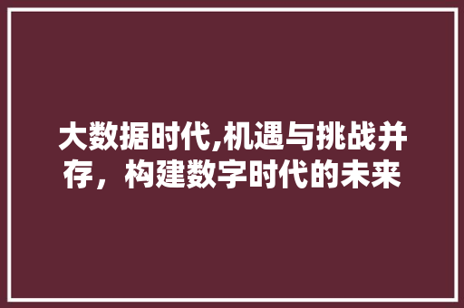 大数据时代,机遇与挑战并存，构建数字时代的未来