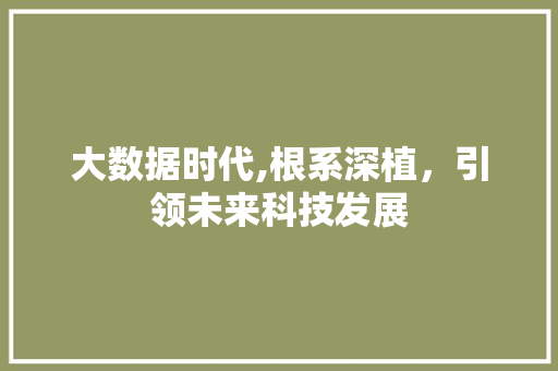 大数据时代,根系深植，引领未来科技发展