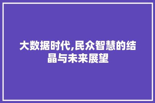 大数据时代,民众智慧的结晶与未来展望