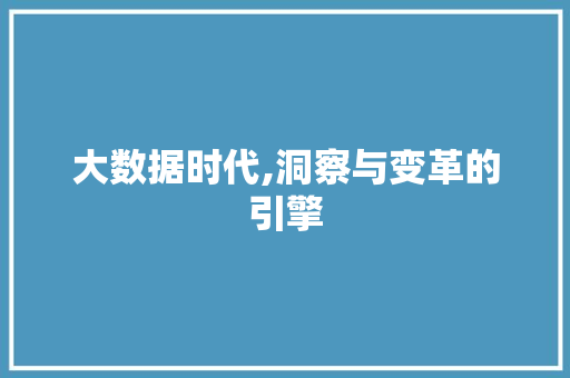 大数据时代,洞察与变革的引擎 神马SEO