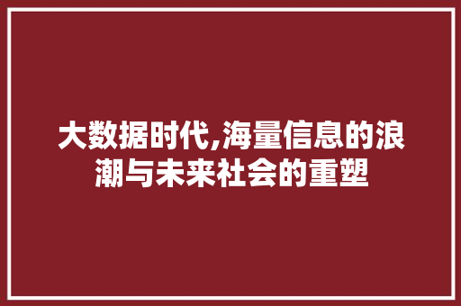 大数据时代,海量信息的浪潮与未来社会的重塑