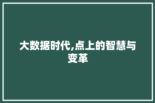 大数据时代,点上的智慧与变革