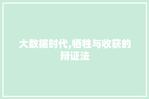 大数据时代,牺牲与收获的辩证法
