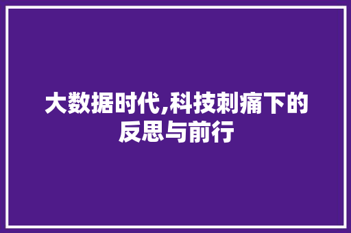 大数据时代,科技刺痛下的反思与前行 神马SEO