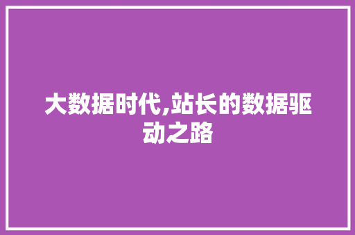 大数据时代,站长的数据驱动之路