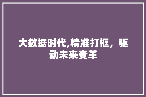 大数据时代,精准打框，驱动未来变革 神马SEO