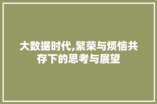 大数据时代,繁荣与烦恼共存下的思考与展望