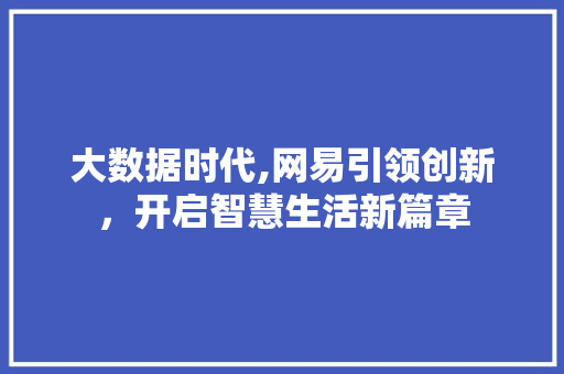 大数据时代,网易引领创新，开启智慧生活新篇章 神马SEO