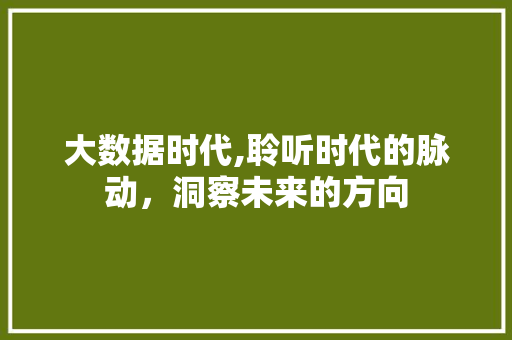 大数据时代,聆听时代的脉动，洞察未来的方向
