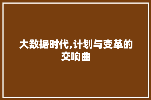 大数据时代,计划与变革的交响曲
