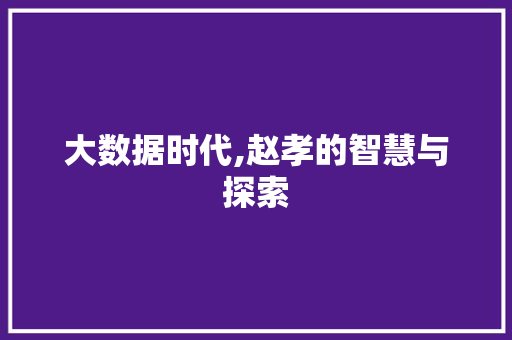 大数据时代,赵孝的智慧与探索