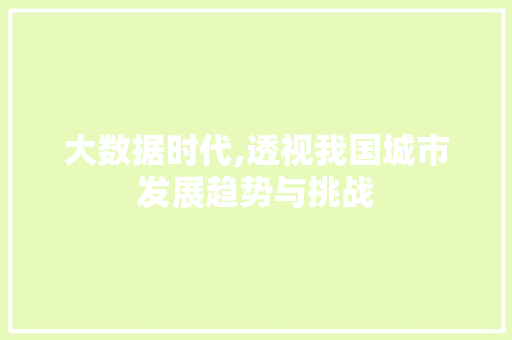 大数据时代,透视我国城市发展趋势与挑战