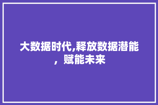 大数据时代,释放数据潜能，赋能未来 必应SEO
