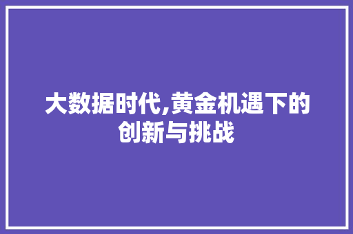 大数据时代,黄金机遇下的创新与挑战