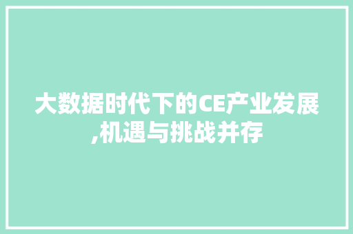 大数据时代下的CE产业发展,机遇与挑战并存